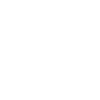 Language Service Providers