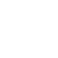 Professional