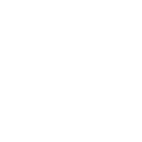 Global Strategy